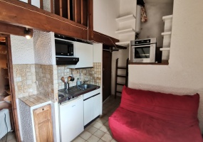 1 Chambre Chambres,1 Salle de bainsSalle de bain,Studio,Location,463