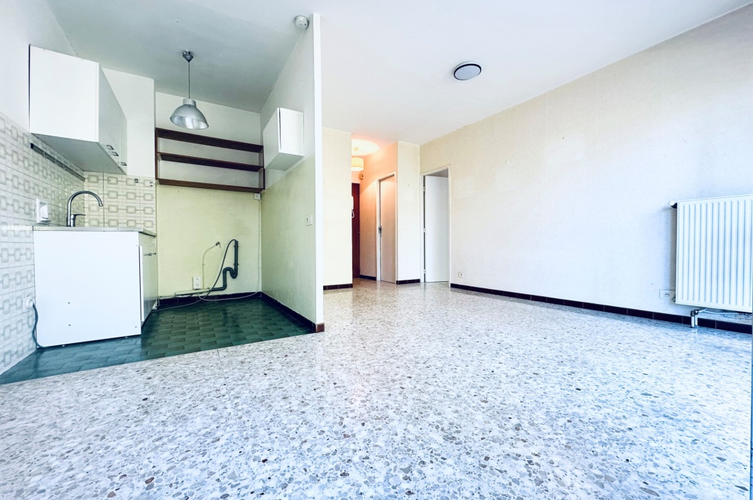 1 Chambre Chambres, 2 Chambres Chambres,1 Salle de bainsSalle de bain,Appartement,Location,492