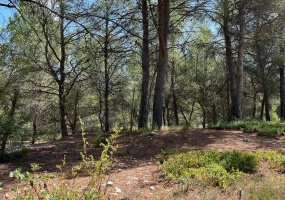 Terrain,Vente,560