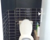 2 Chambres Chambres, 3 Chambres Chambres,Appartement,Location,594