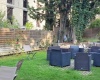 0 , 1 Chambre Chambres,Appartement,Vente,0,91